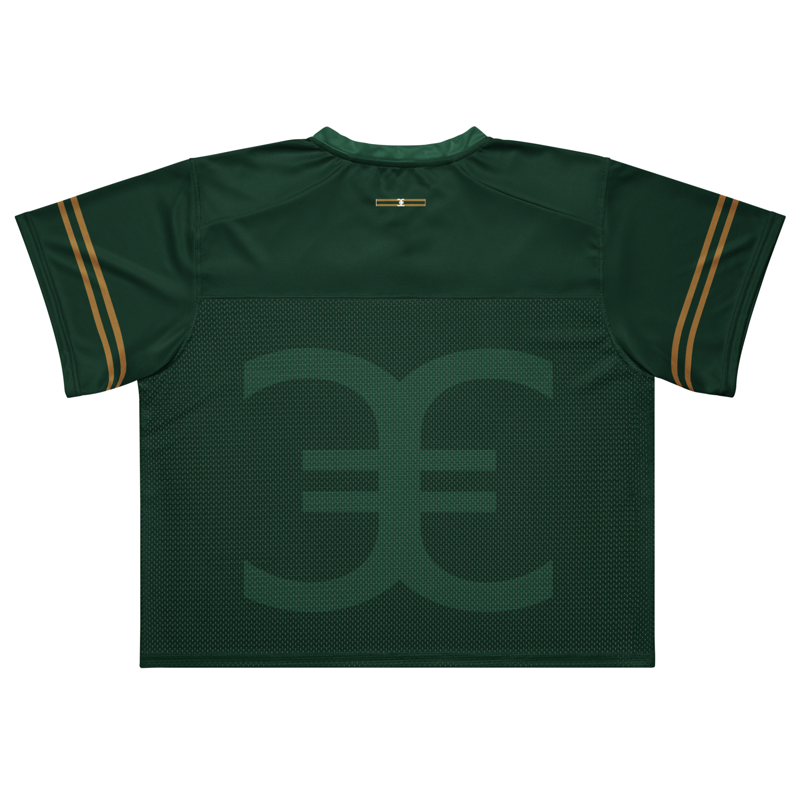 Elevaysion Ascension Jersey - Emerald Tonal Edition