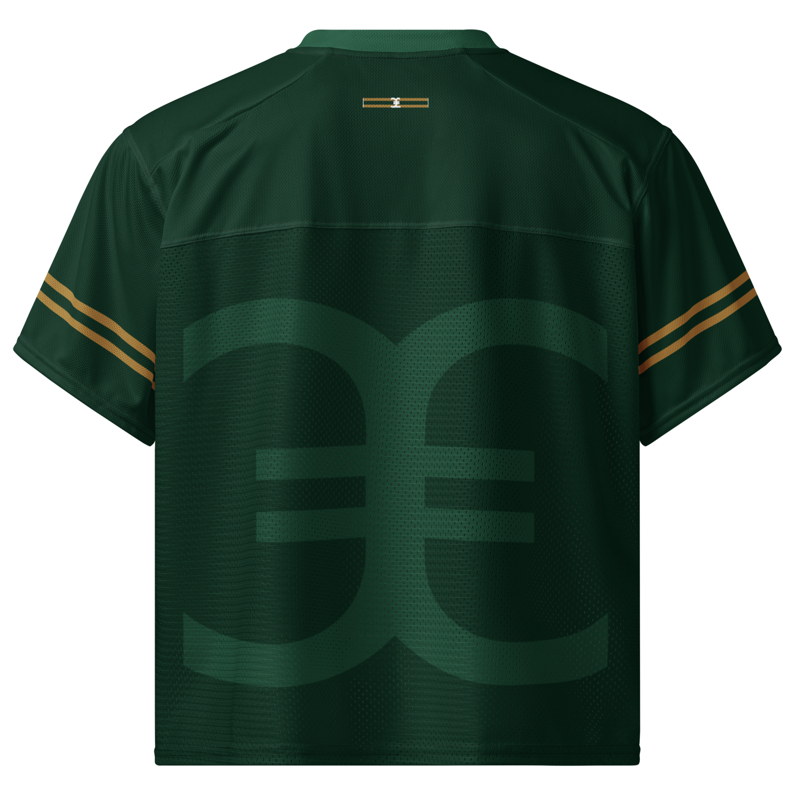 Elevaysion Ascension Jersey - Emerald Tonal Edition