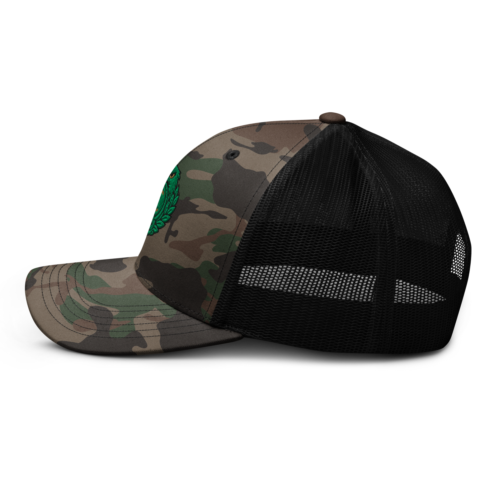 Elevasn Ascension Cap - Sacred Path Edition