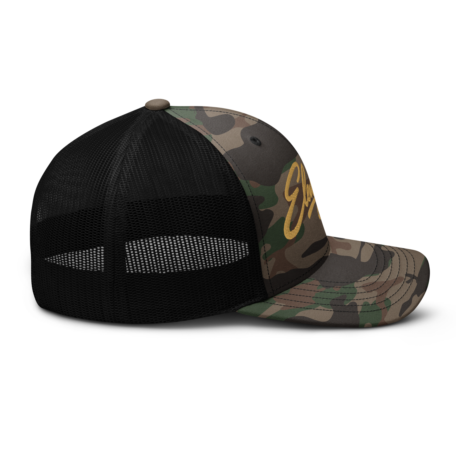 Elevaysion Wordmark Cap - Sacred Ascension Edition