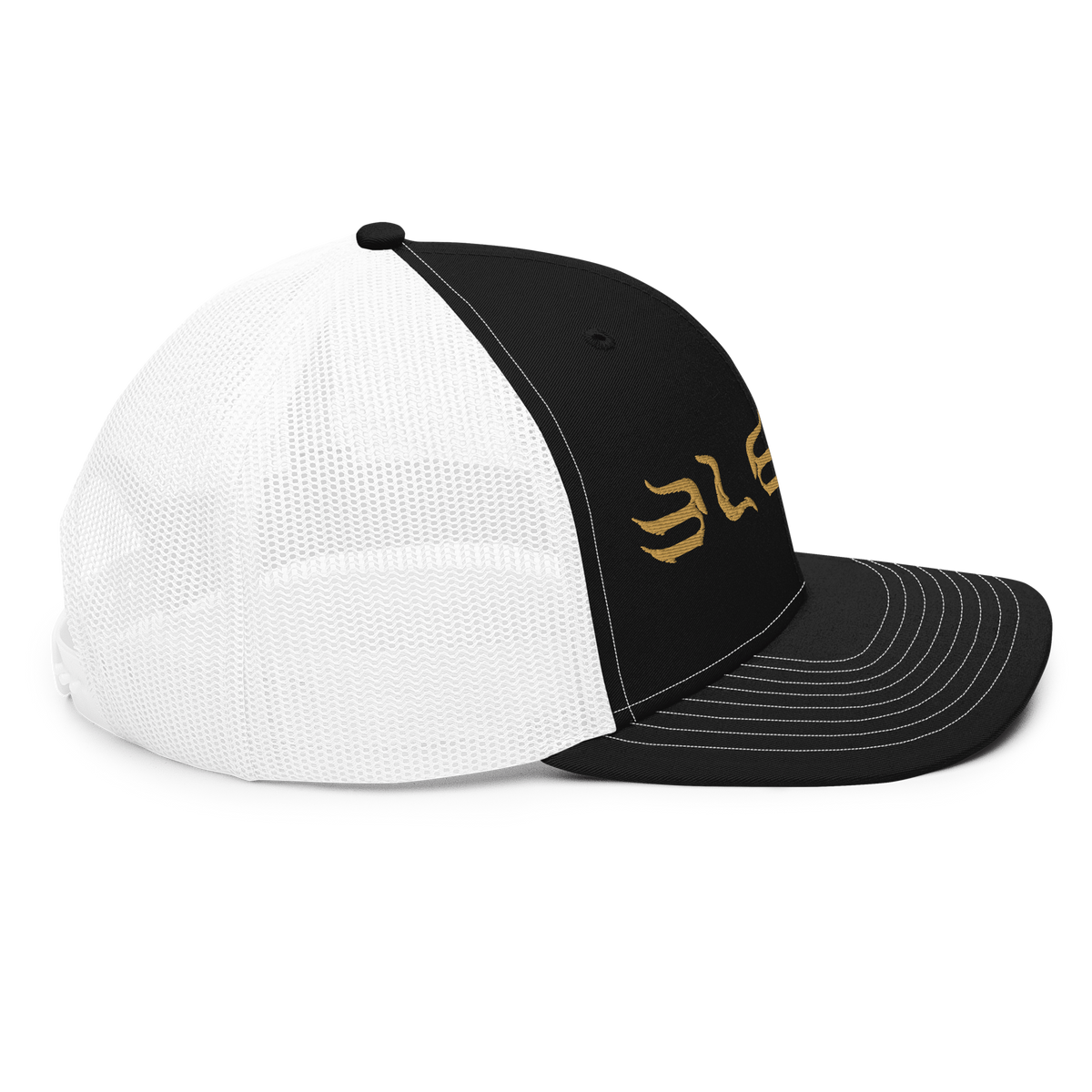 ELEVASN Abundance Signal Cap