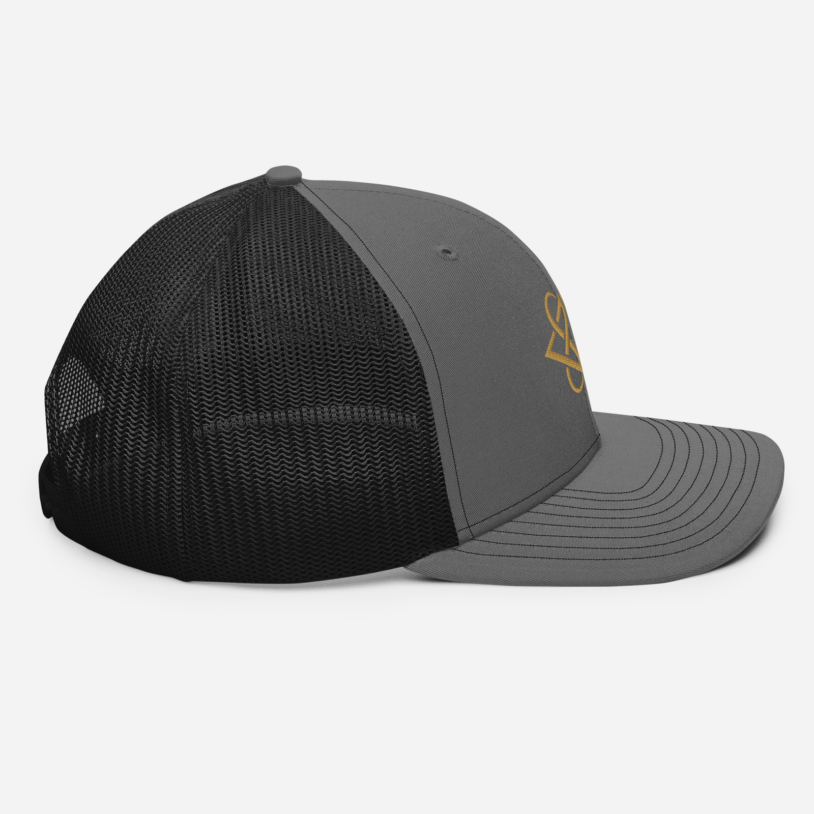 ELEVASN Abundance Signal Cap
