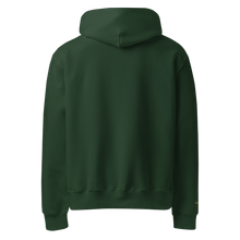 3E Ascend Hoodie