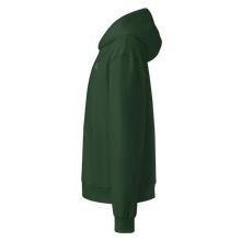 3E Ascend Hoodie