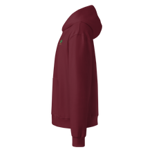 3E Ascend Hoodie