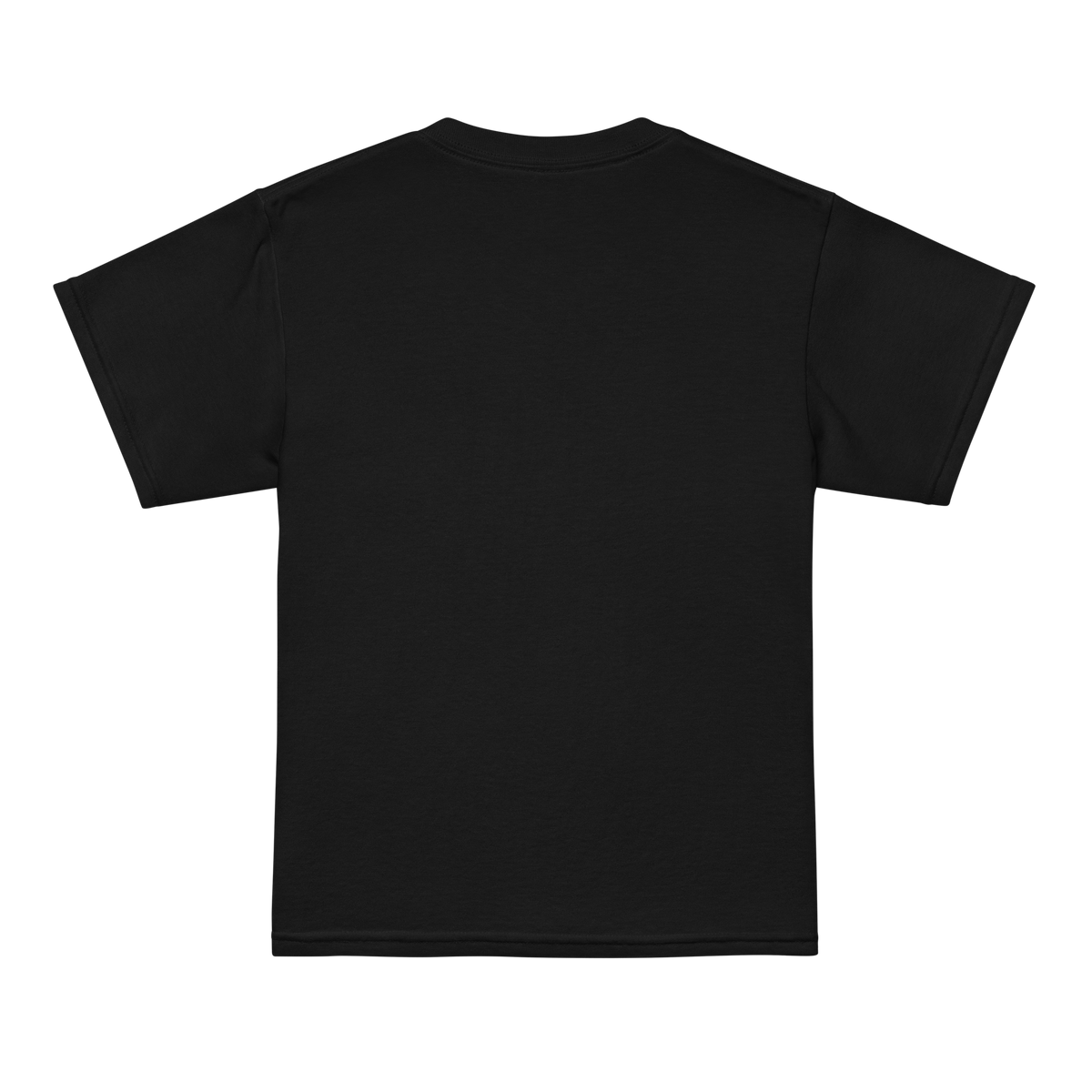 Youth t-shirt