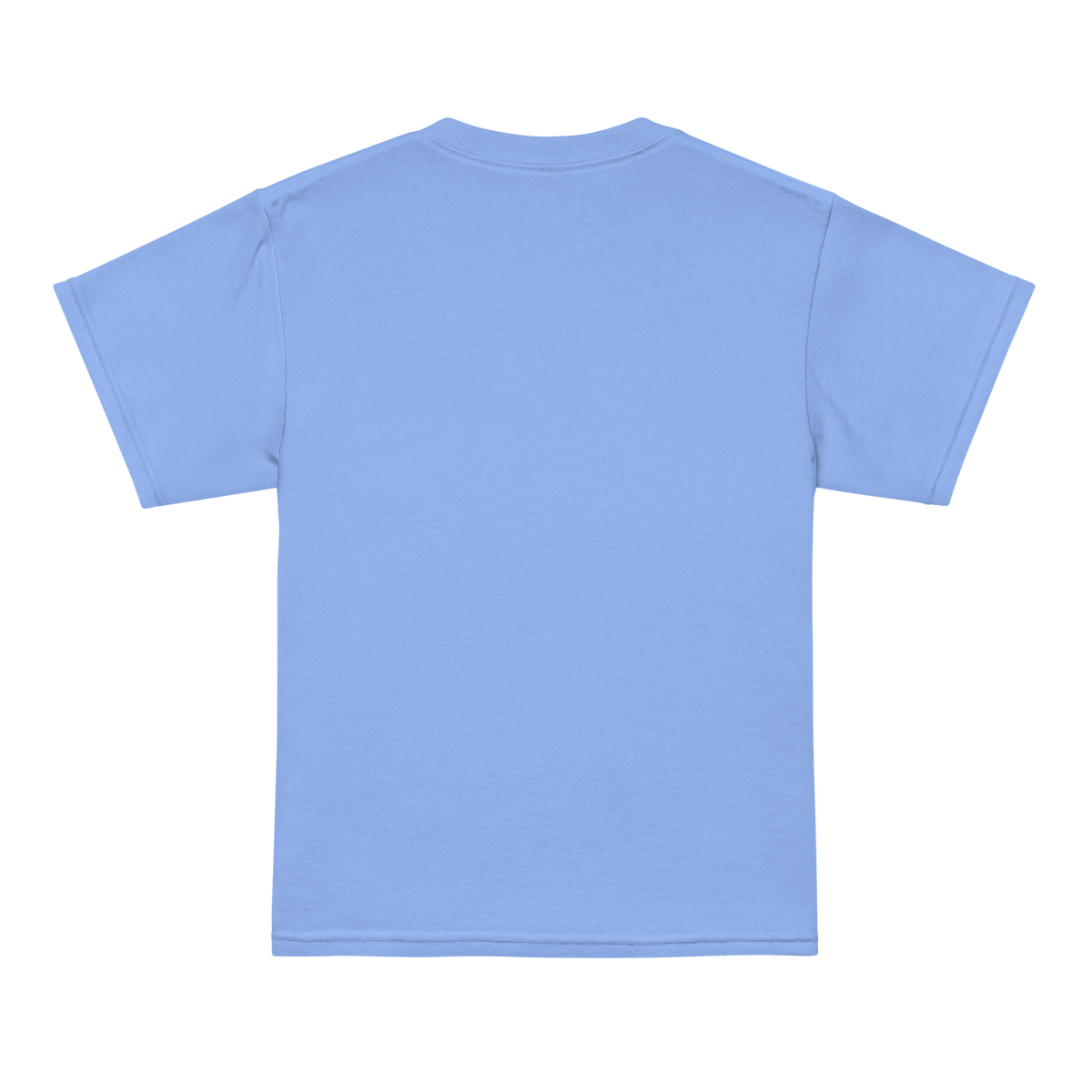 Youth t-shirt